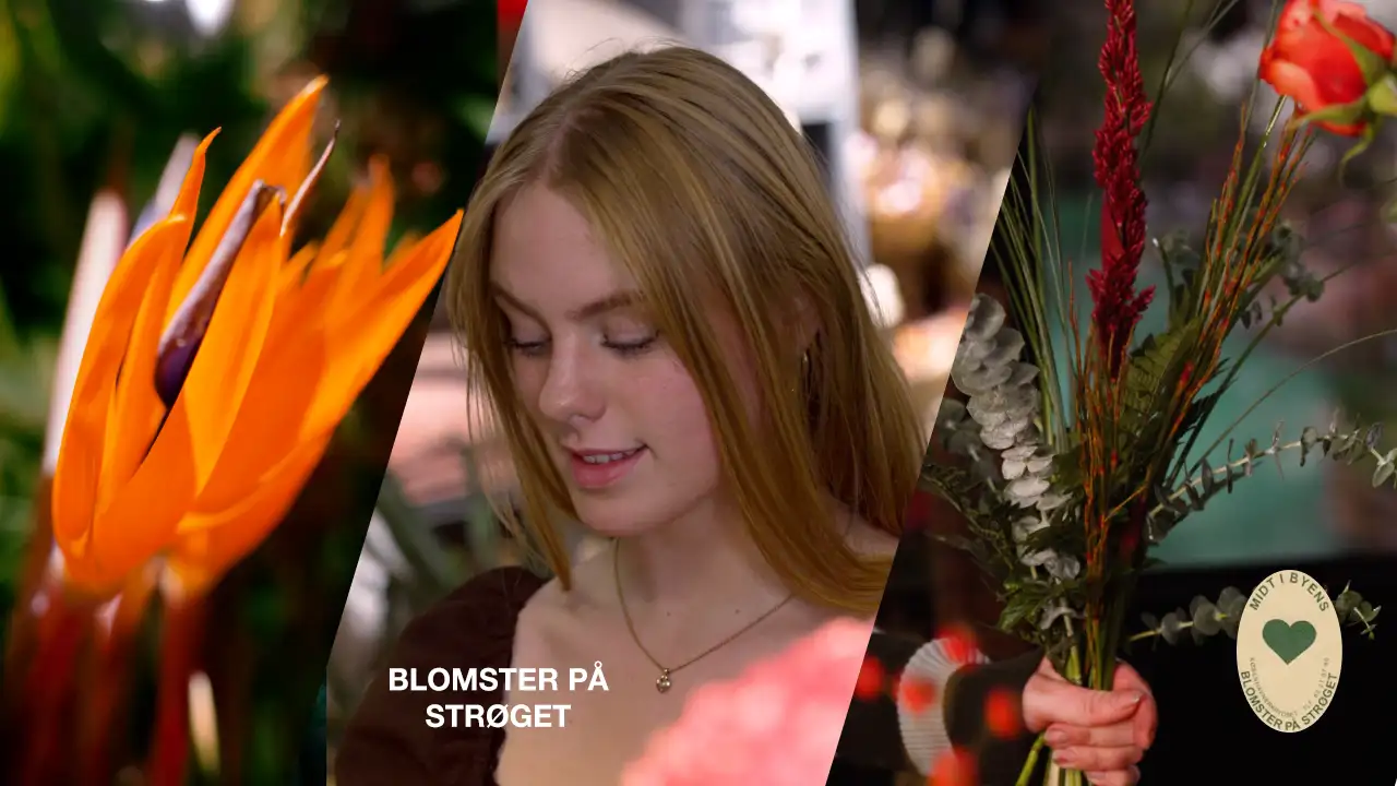 macarons-design-projects-blomster-på-strøget-cover2